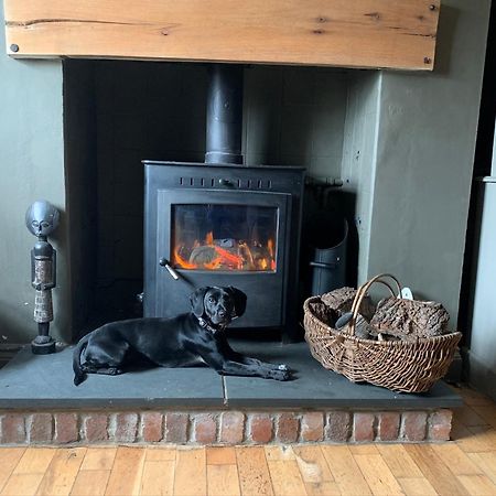Bed and Breakfast Efail Y Garn Swansea Exteriér fotografie